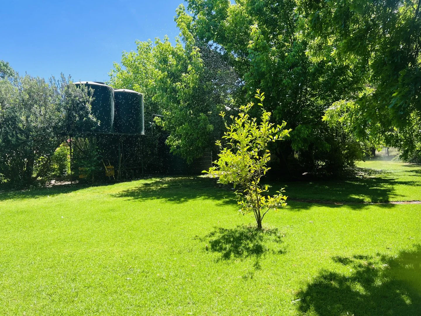 Additional image 14 of 651 Jerilderie Road, Berrigan NSW 2712