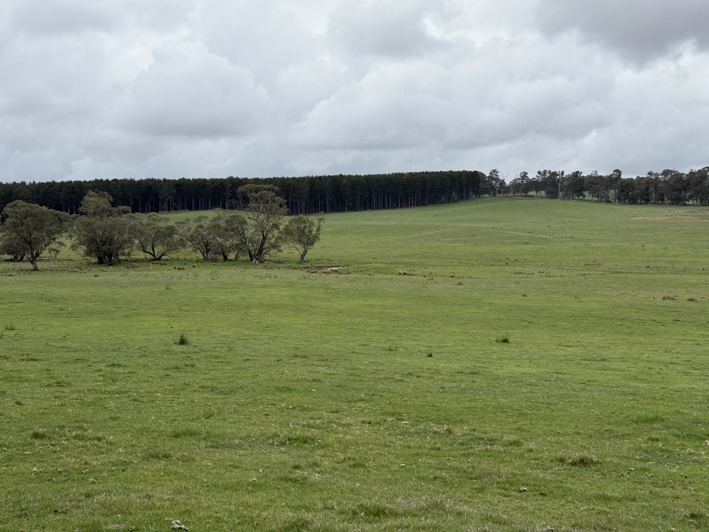 Additional image 10 of Lot 13 Rosewood Hills Road, Tumbarumba NSW 2653