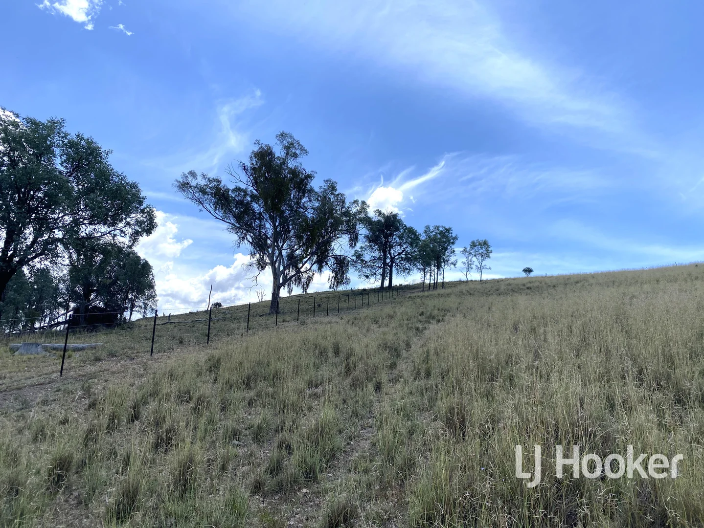 Additional image 20 of 1198 Bukkulla Road, Inverell NSW 2360