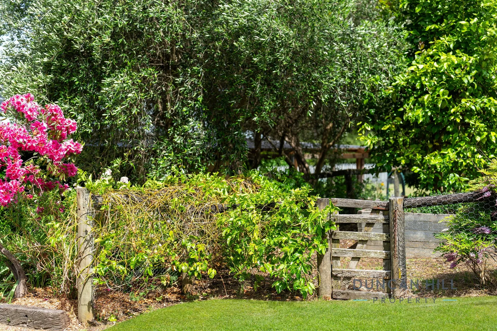 Additional image 20 of 4 Drapers Road, Willow Vale NSW 2575