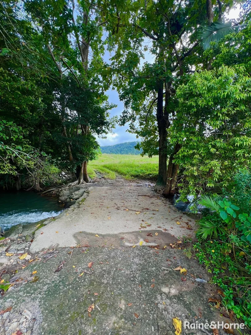 Additional image 21 of 217 Cassowary Road, Cassowary QLD 4873