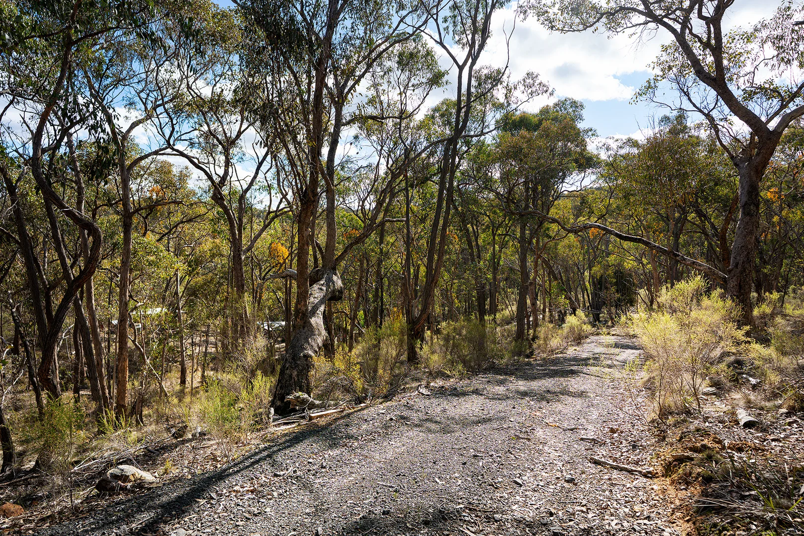 Additional image 5 of 132 Nalya Court, Drummond North VIC 3446