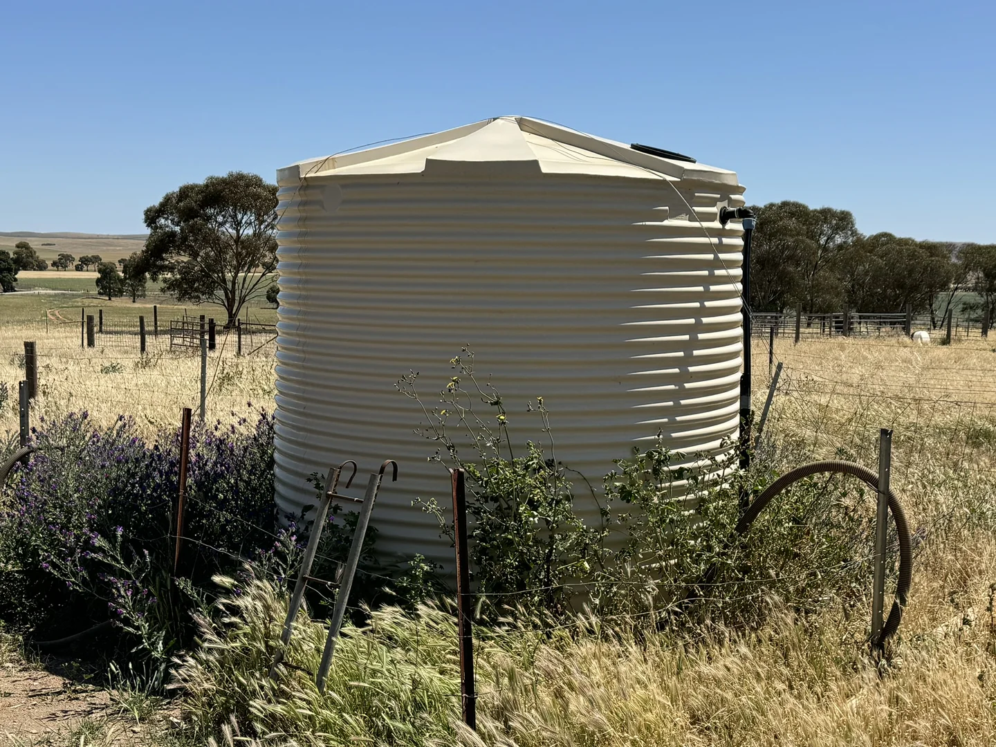 Additional image 34 of 1 Tohls Road, Booborowie SA 5417