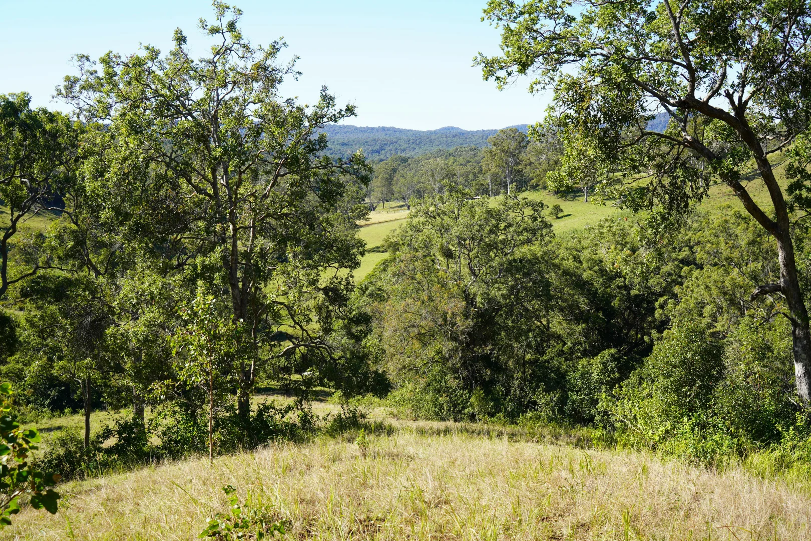 Additional image 15 of 2425 Pine Creek Rd, Lismore NSW 2480