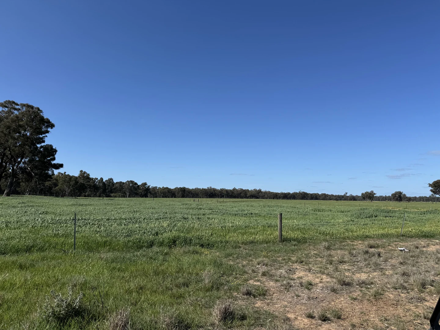 Additional image 39 of . Bangerang Road, Kanyapella VIC 3564
