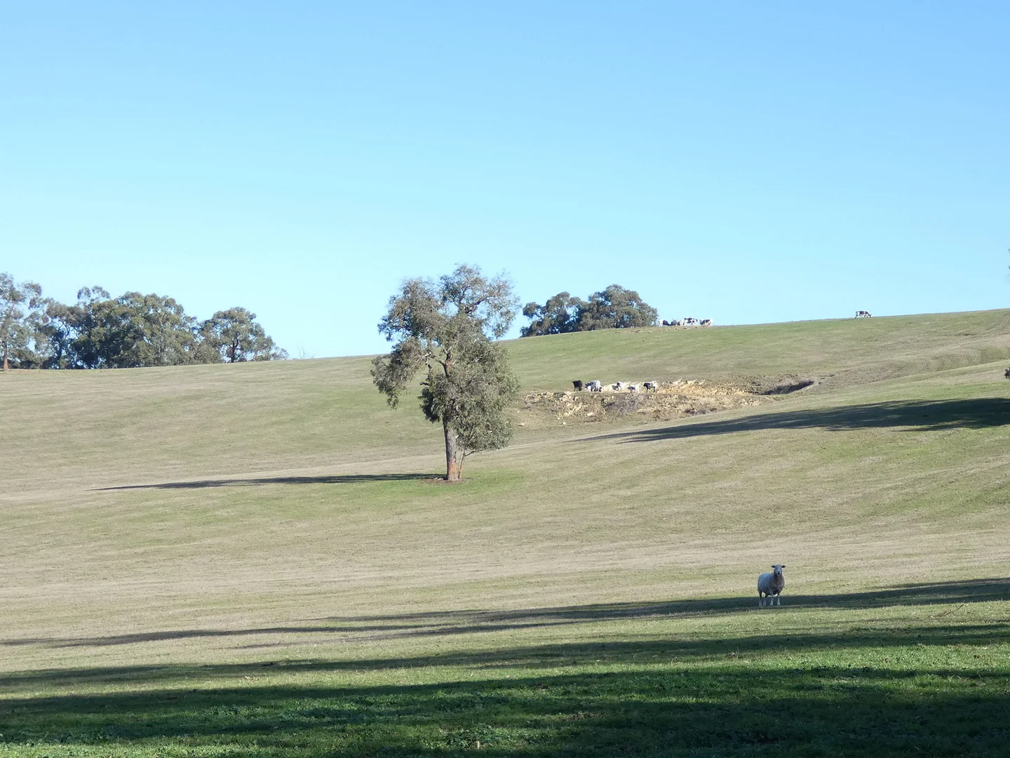 Additional image 22 of 10 Smiths Road, Yellingbo VIC 3139