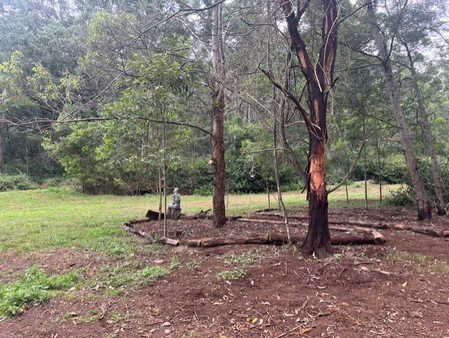 Additional image 10 of Ravensbourne QLD 4352