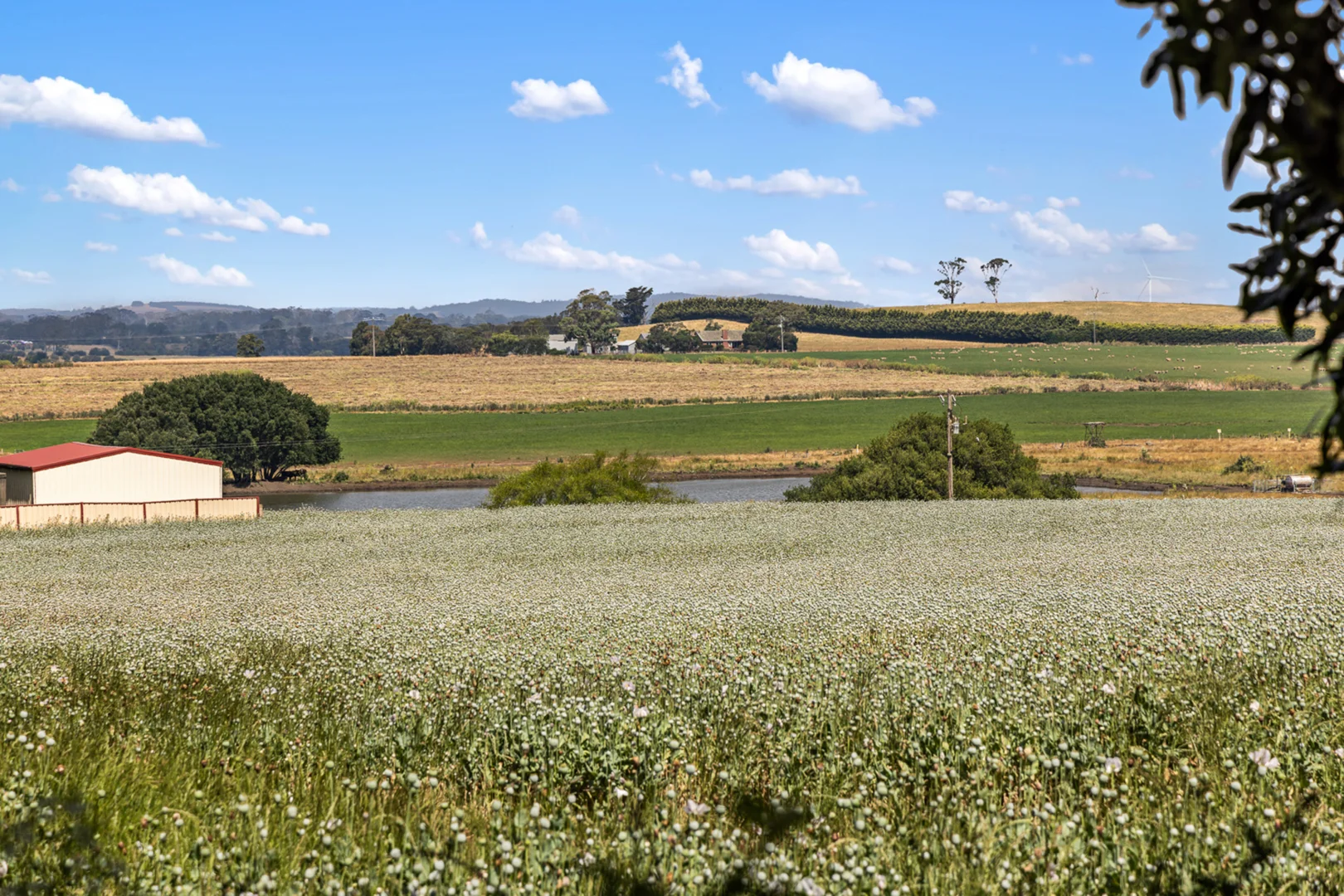 Additional image 24 of 170 Reidys Road, Bungaree VIC 3352