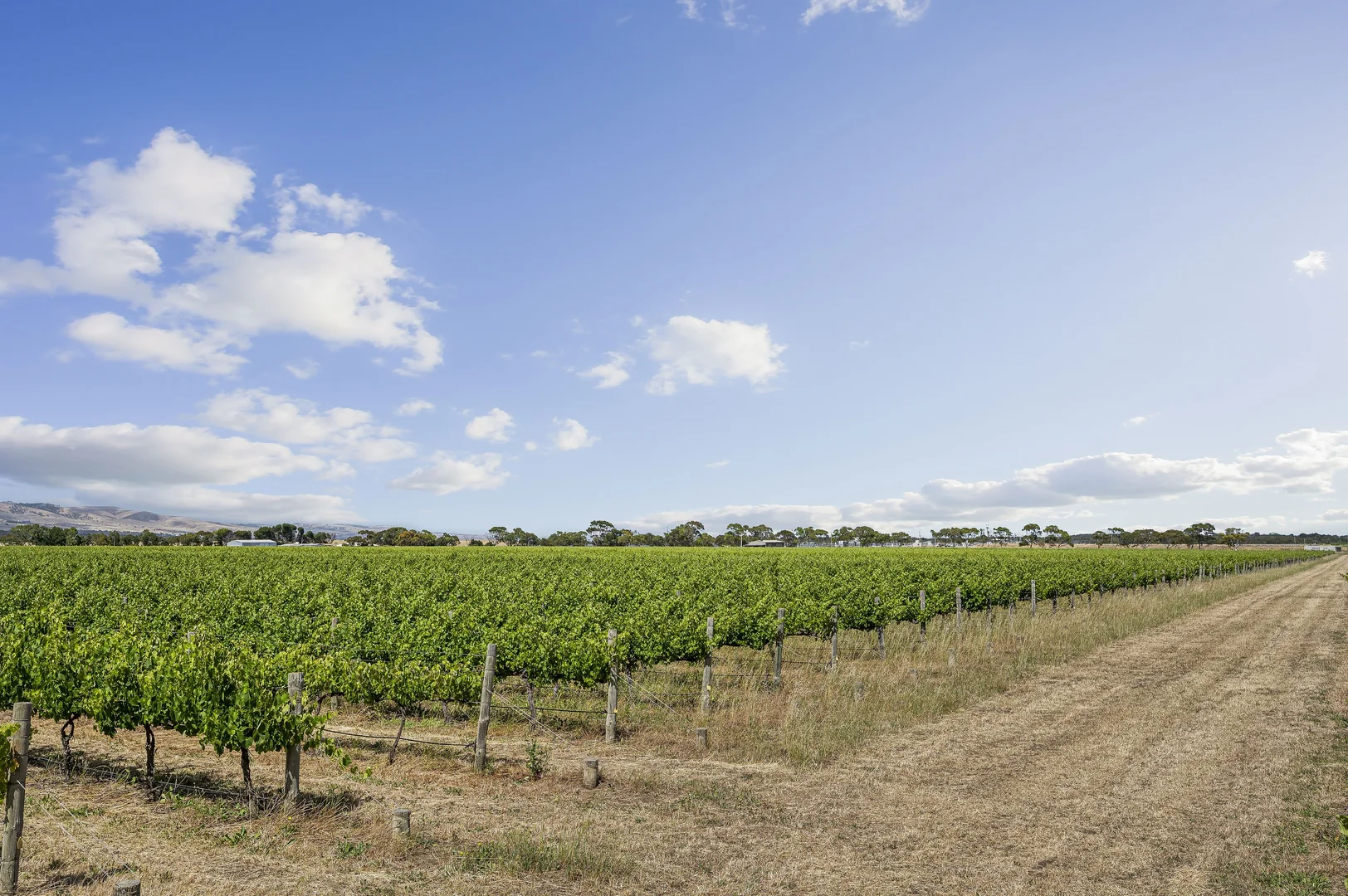 Additional image 8 of Lot 2 Plains Road, Aldinga SA 5173