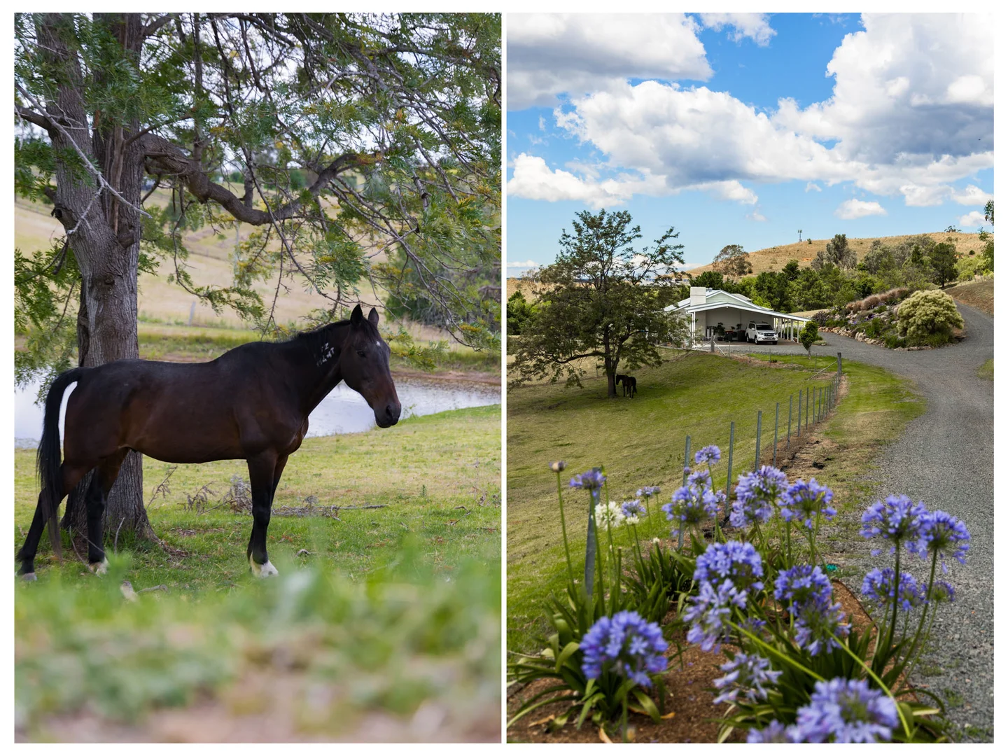 Additional image 15 of 585 Menangle Road, Douglas Park NSW 2569