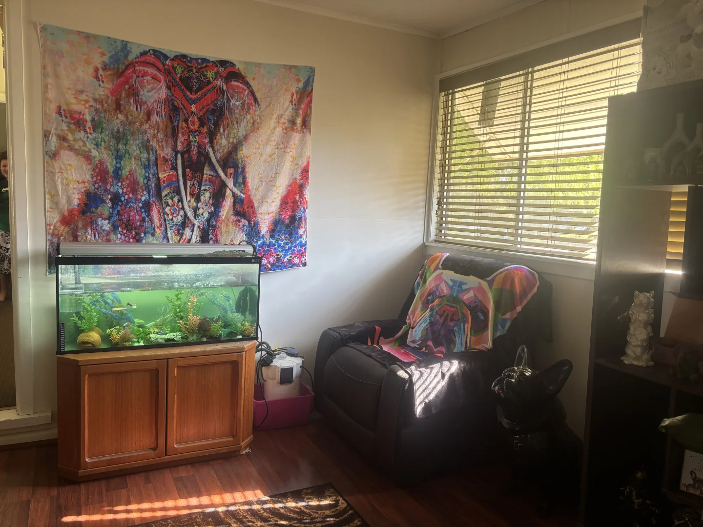 Additional image 10 of 46 Crane Street, Warialda NSW 2402