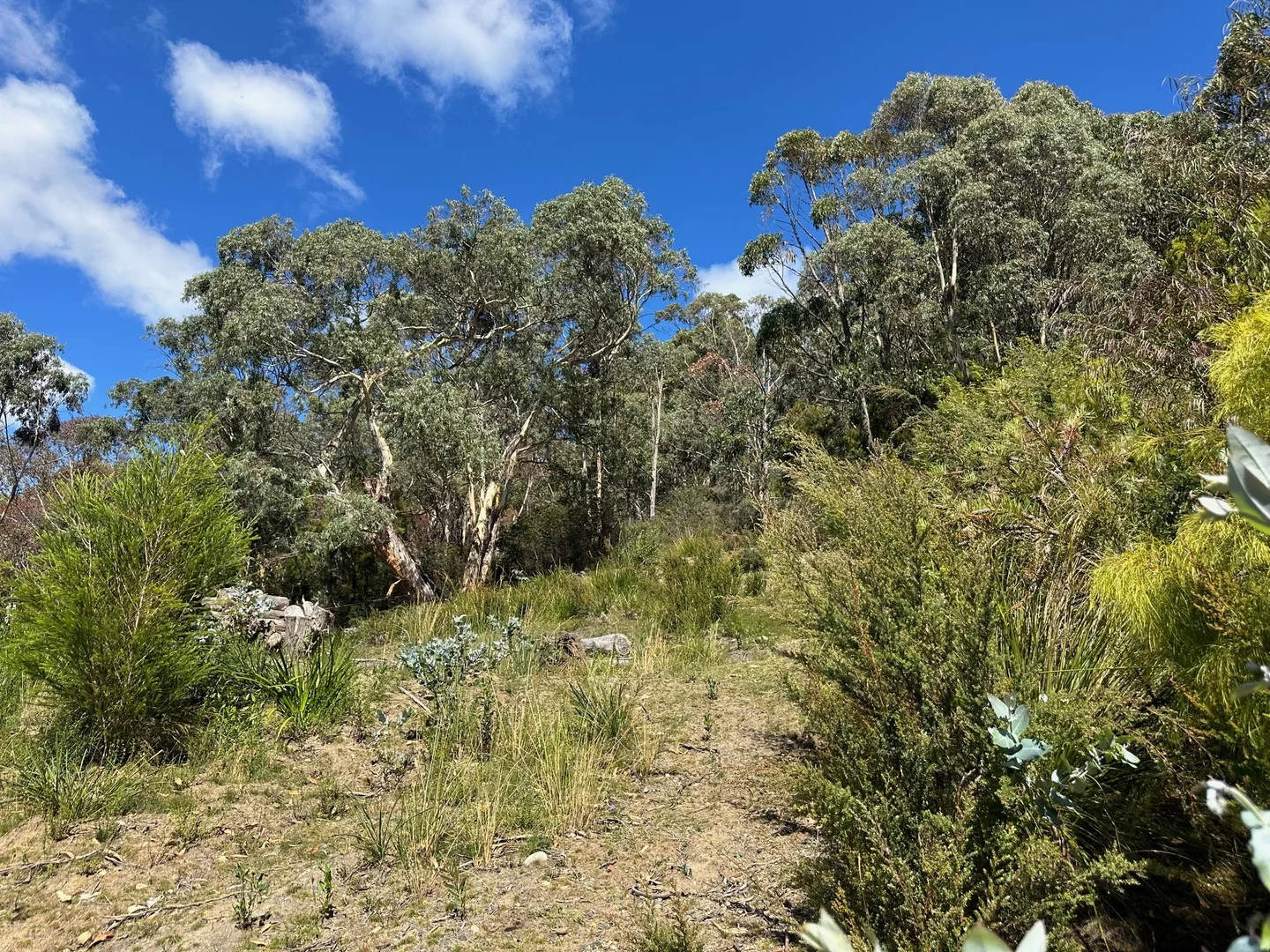 Additional image 22 of 142 Blowhole Road, Eaglehawk Neck TAS 7179