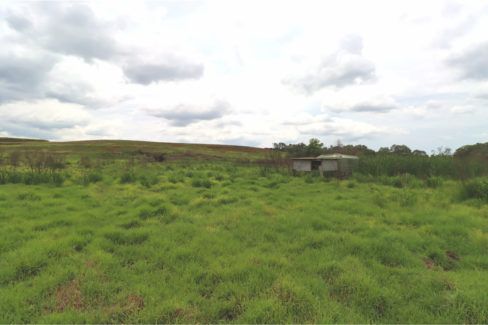 Additional image 12 of 532 Lynwood Road, North Isis QLD 4660