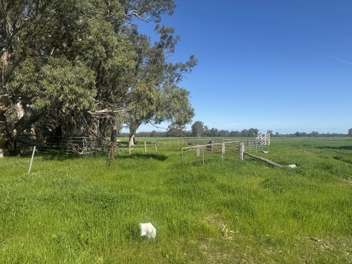 Additional image 41 of . Bangerang Road, Kanyapella VIC 3564