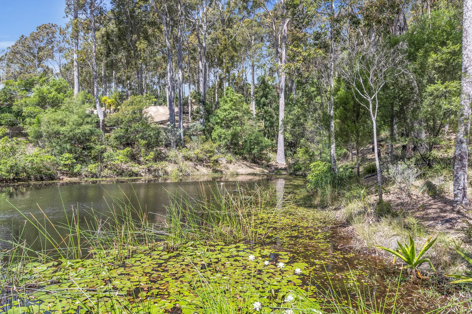 Additional image 21 of 18 Cove Lane, Narooma NSW 2546