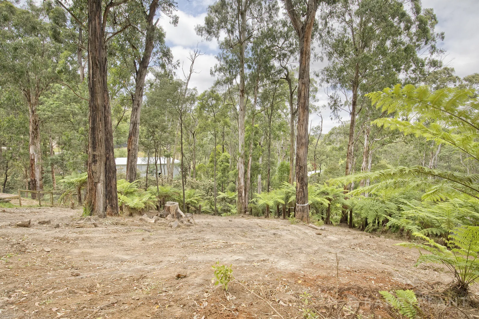 Additional image 4 of 37 Mountain Road, Cockatoo VIC 3781