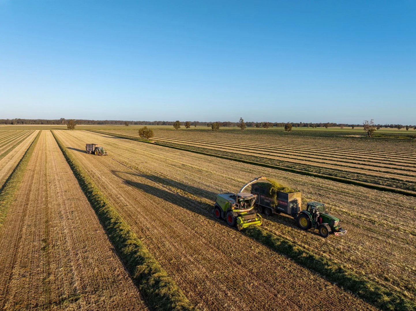 1623 Redlands Road, Ringwood NSW 2646