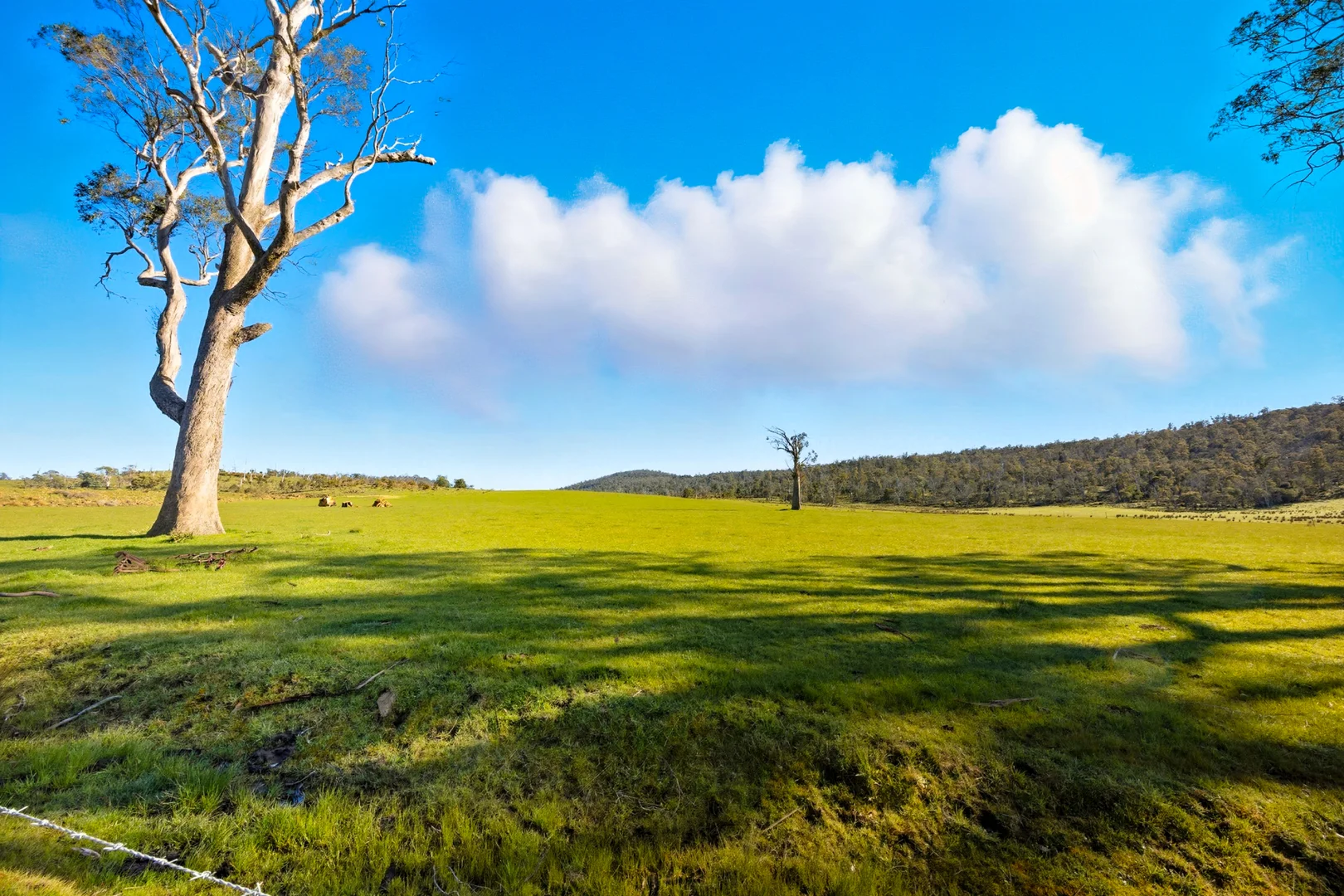 Additional image 24 of 'Hydaway' 448 Westwood Road, Westwood TAS 7292