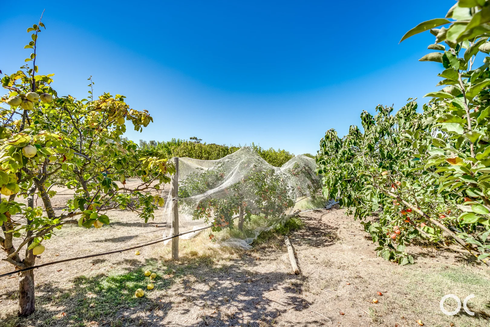 Additional image 74 of 370 Clements Road, Langhorne Creek SA 5255