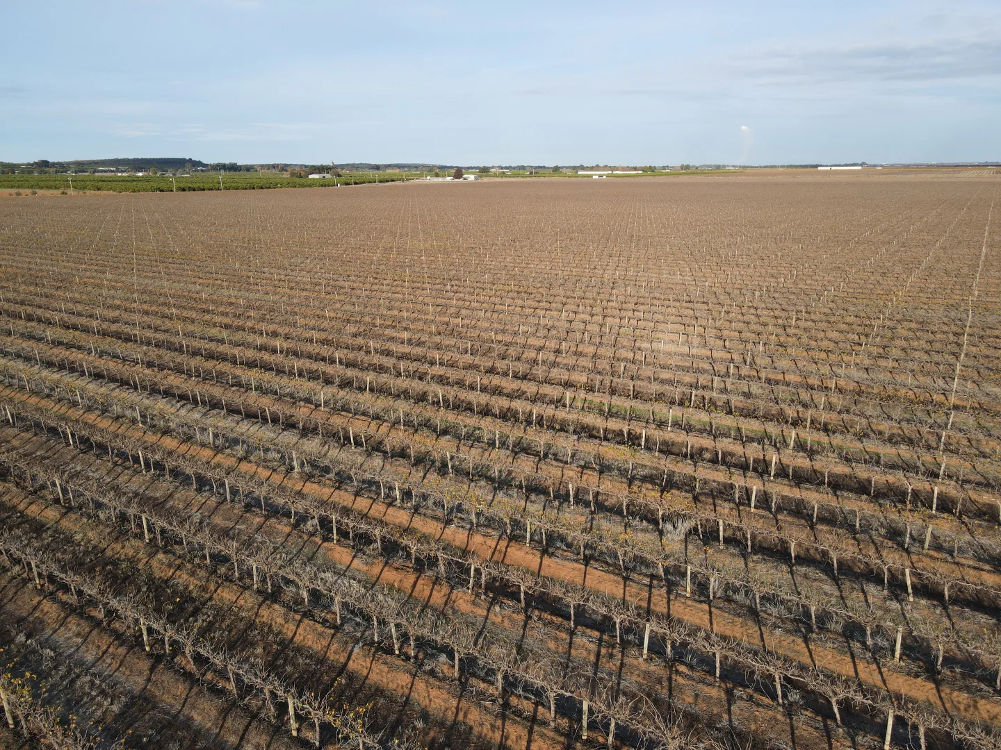 Additional image 5 of 1802 Old Well Road, Tharbogang NSW 2680