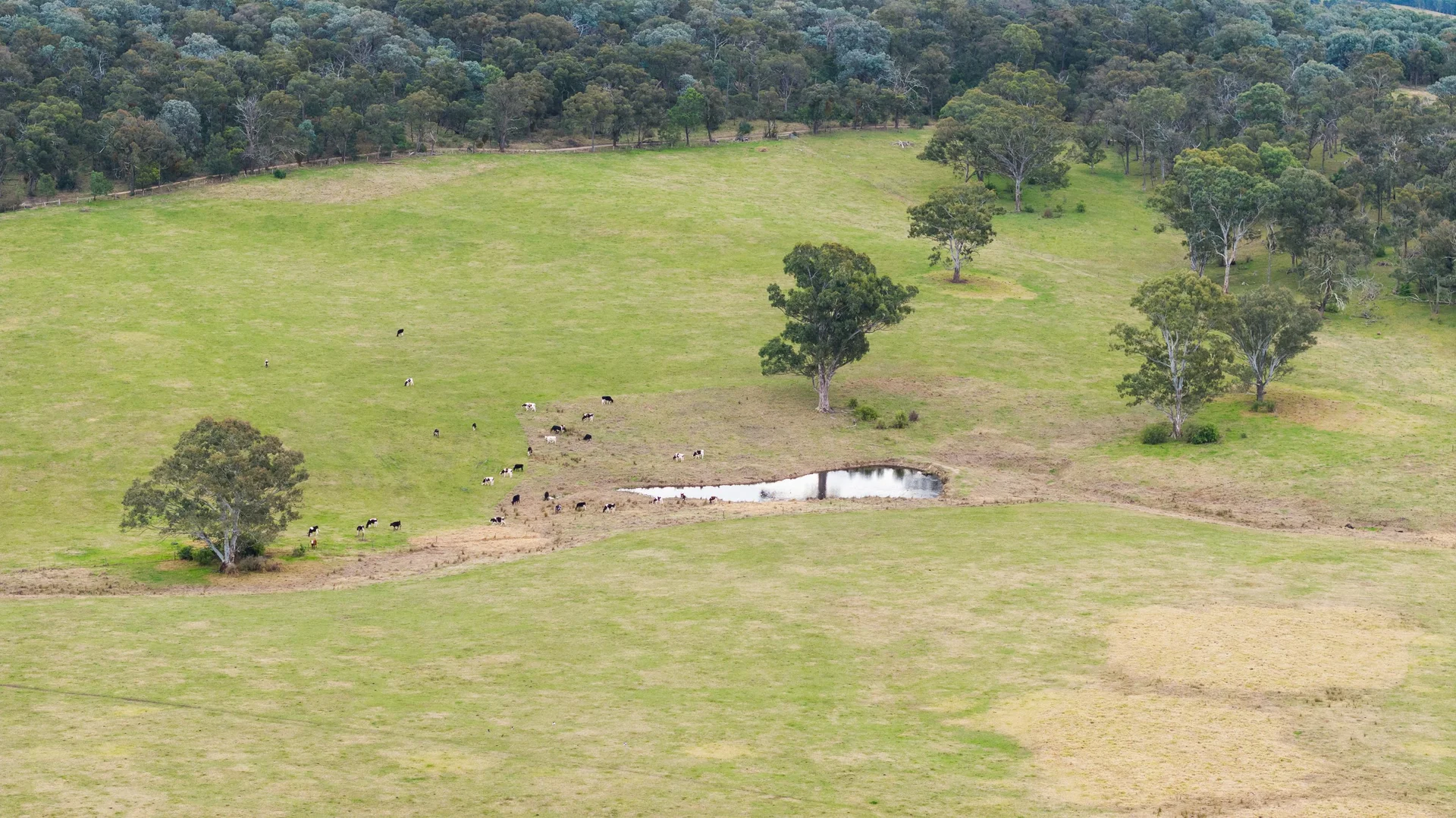 Additional image 9 of 18 Clynes Road, Tinamba West VIC 3859