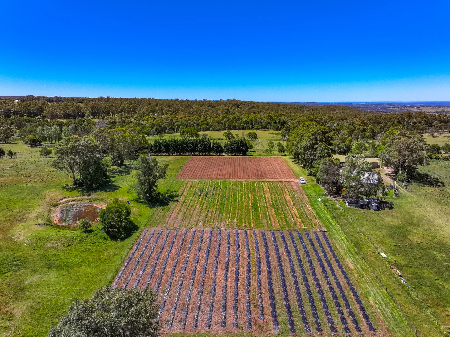 Additional image 4 of 135 Lyons Road, Lakesland NSW 2572