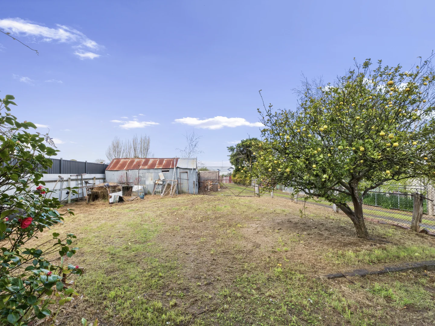 Additional image 3 of 38 Hart Street, Colac VIC 3250