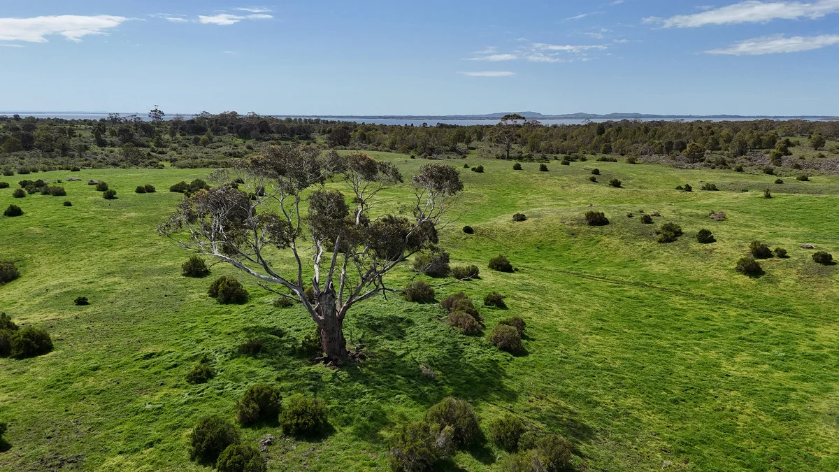 Additional image 22 of 220 Harlocks Road, Pomborneit North VIC 3260