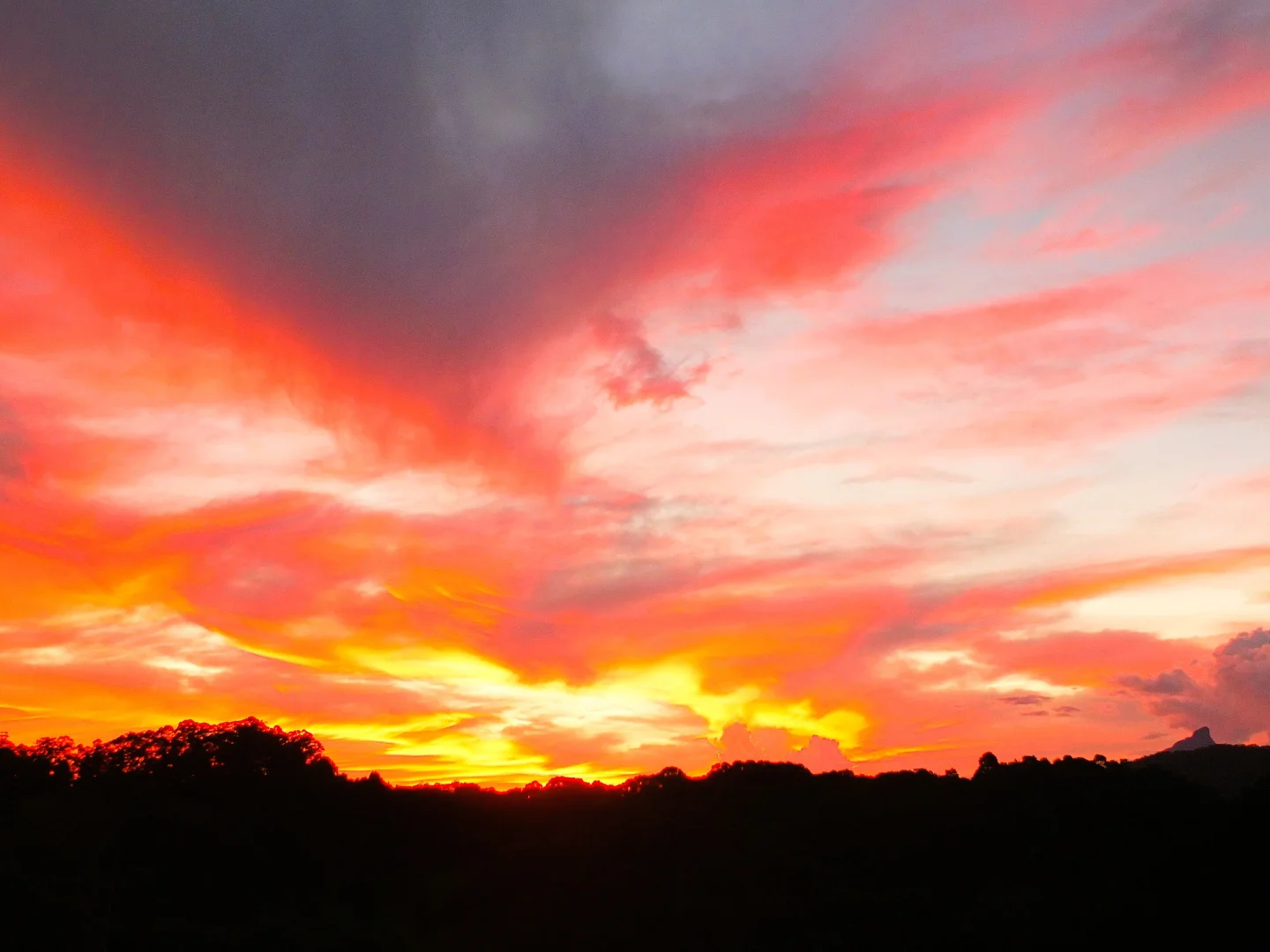 Additional image 28 of 6 Ringtail Road, Stokers Siding NSW 2484