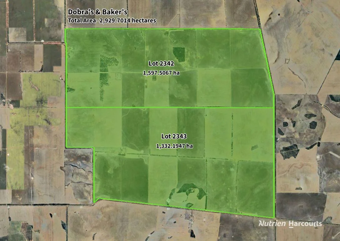 Additional image 33 of . Waitavalo Farms, Narembeen WA 6369