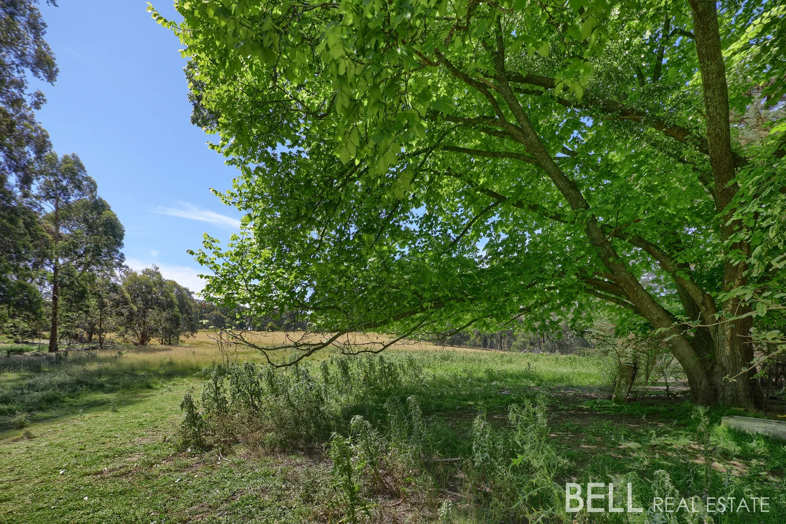Additional image 6 of 189 Swales Road, Macclesfield VIC 3782