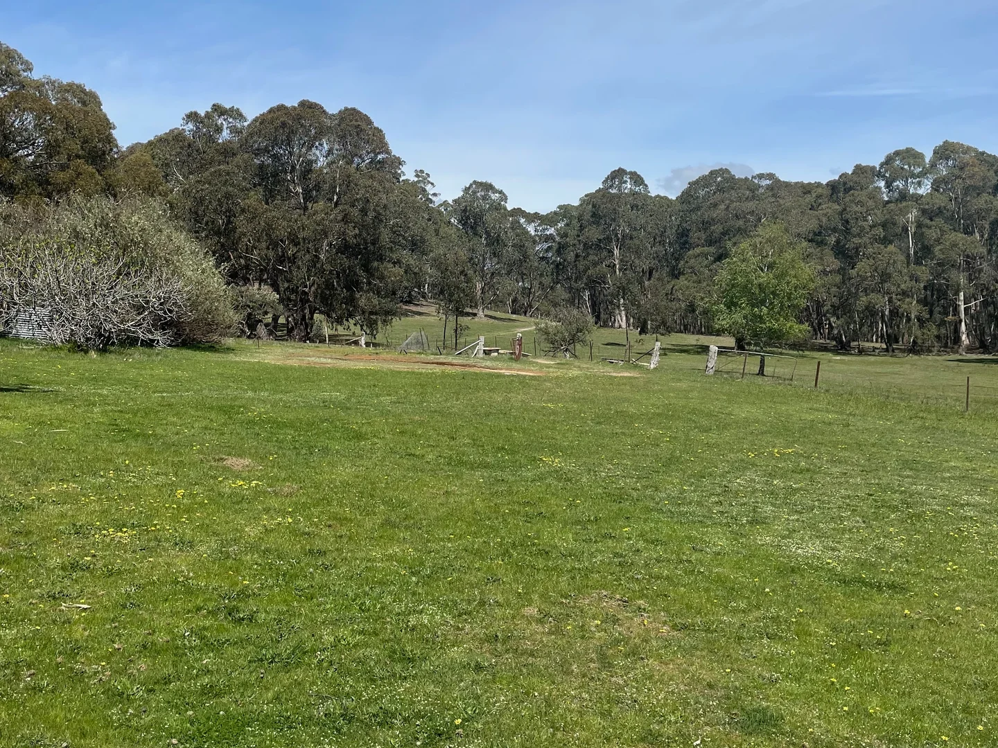 Additional image 20 of Strathbogie VIC 3666