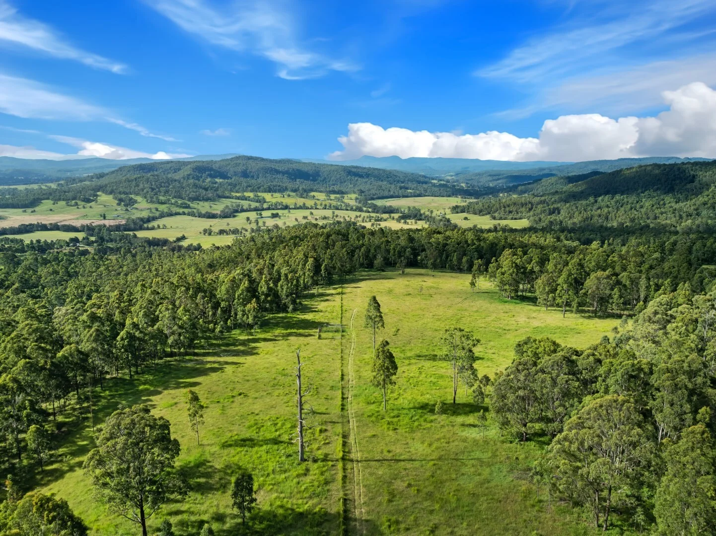 Additional image 14 of 62-69 Duck Creek Road, Bonalbo NSW 2469