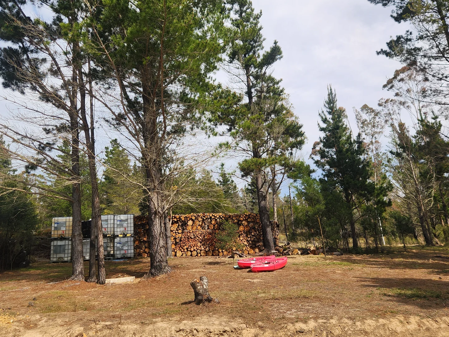 Additional image 11 of 480 Tall Timbers Road, Tomboye NSW 2622