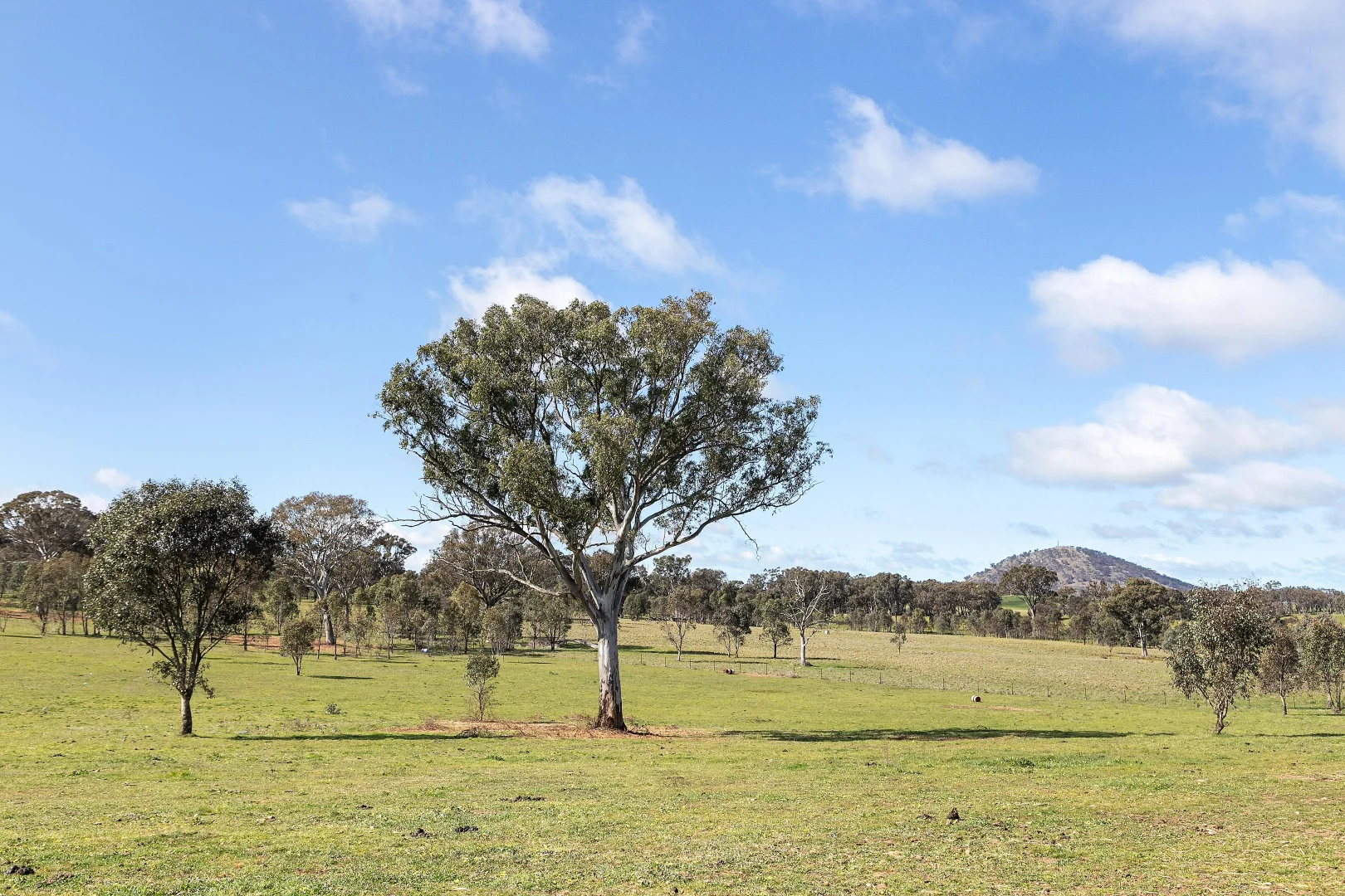 Additional image 16 of 257 Stadtmillers Lane, Bowning NSW 2582