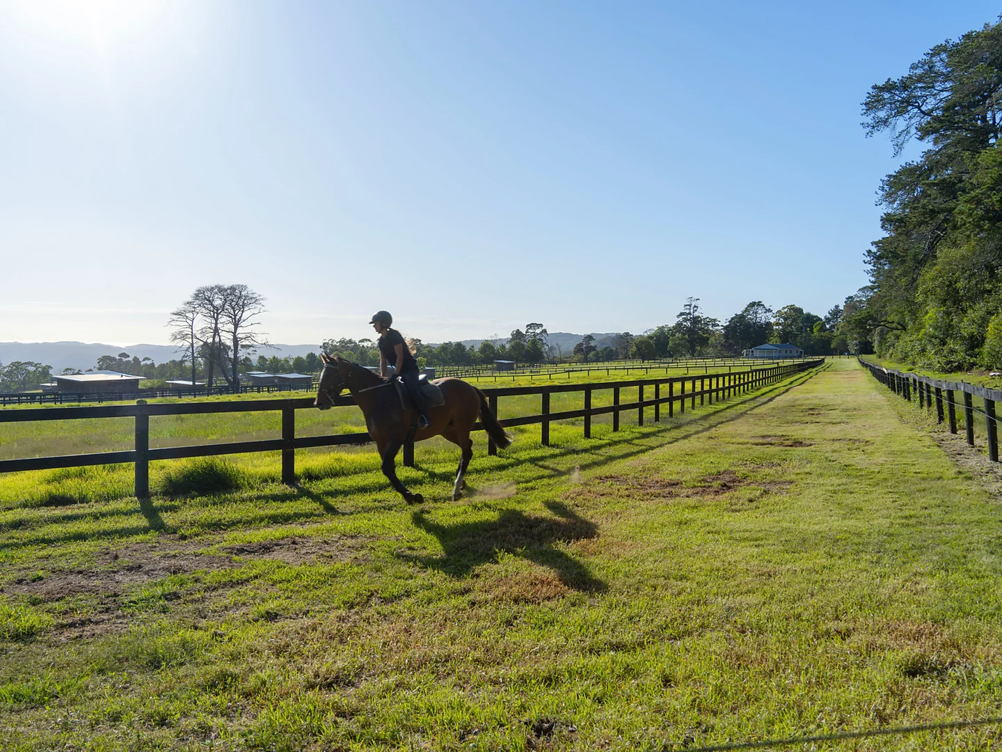 Additional image 25 of 176 Greta Road, Kulnura NSW 2250