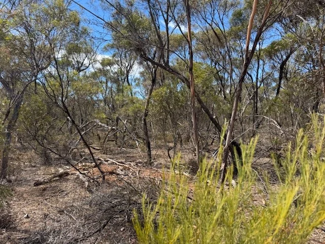 Additional image 10 of 2 Josephine Drive, Wedderburn VIC 3518