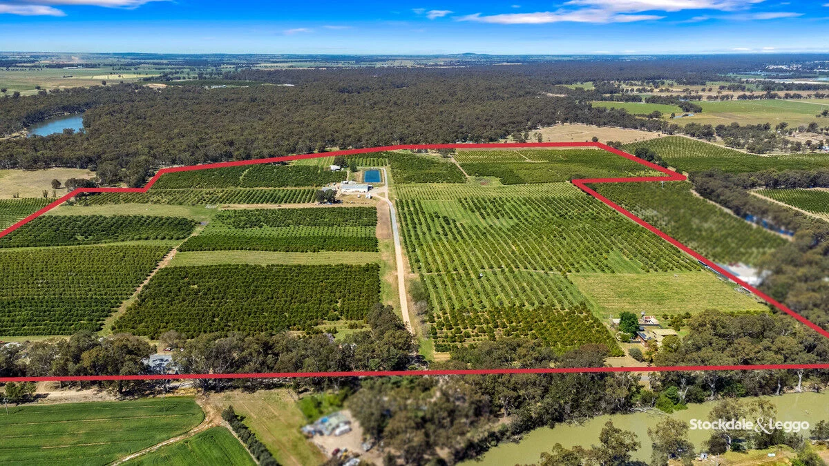 Additional image 37 of 154-198 Torgannah Road, Koonoomoo VIC 3644