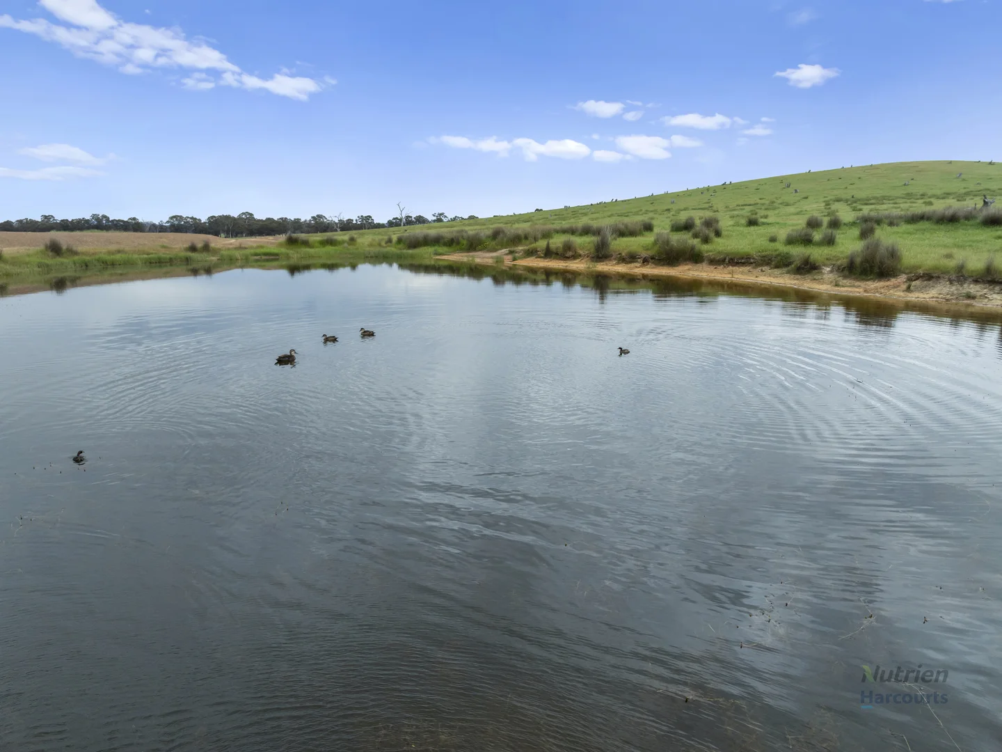 Additional image 4 of Station Road, Mangalore VIC 3663