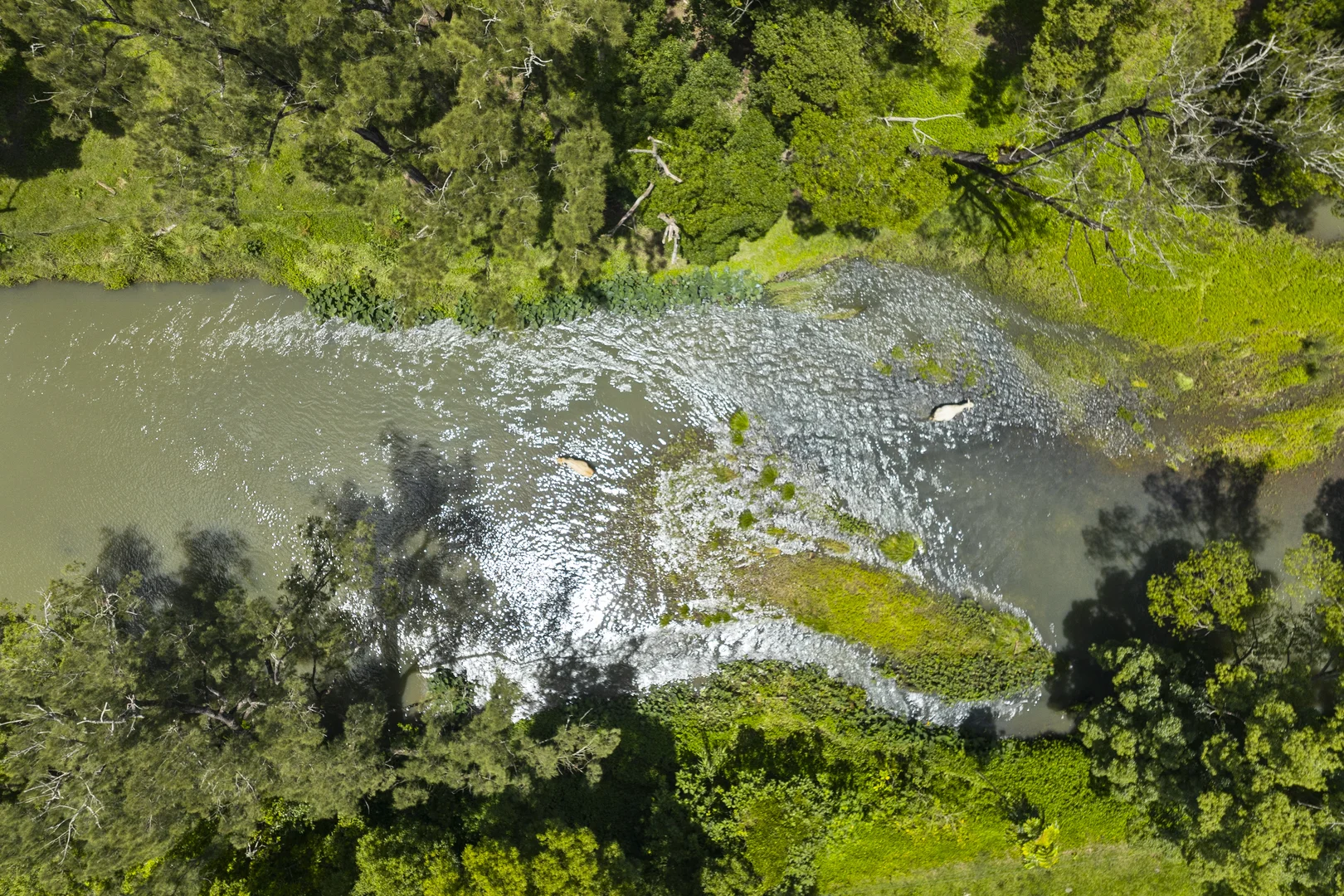 Additional image 11 of 981 Numinbah Road, Crystal Creek NSW 2484