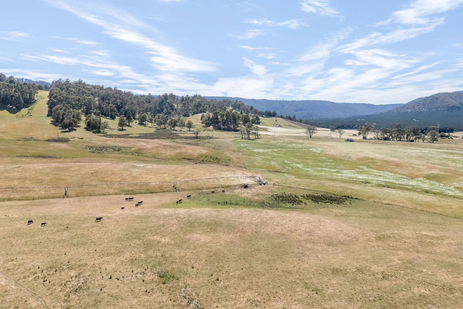 Additional image 32 of 3600 Blessington Road, Upper Blessington TAS 7212