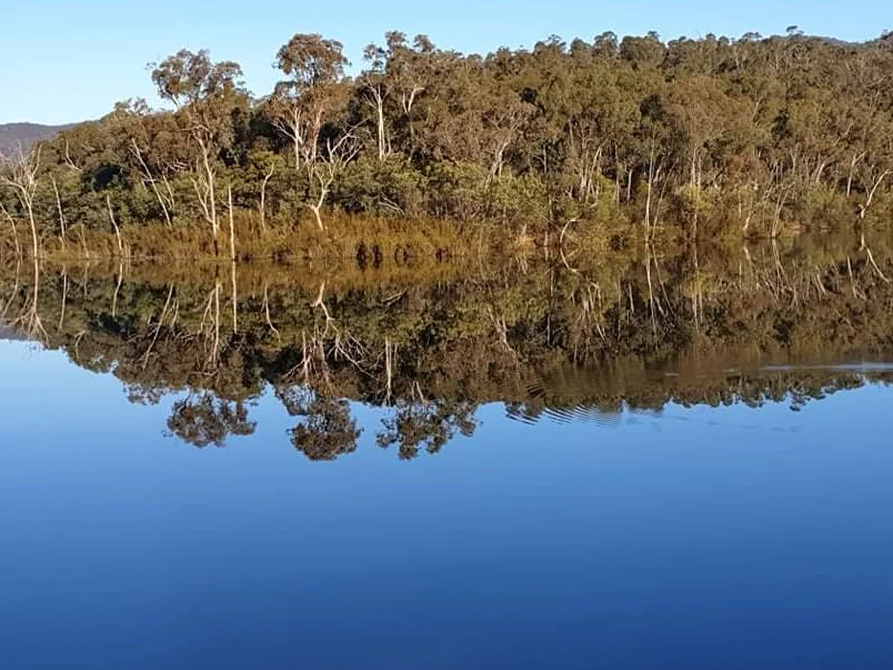 Additional image 11 of 8 Cross Avenue, Dartmouth VIC 3701