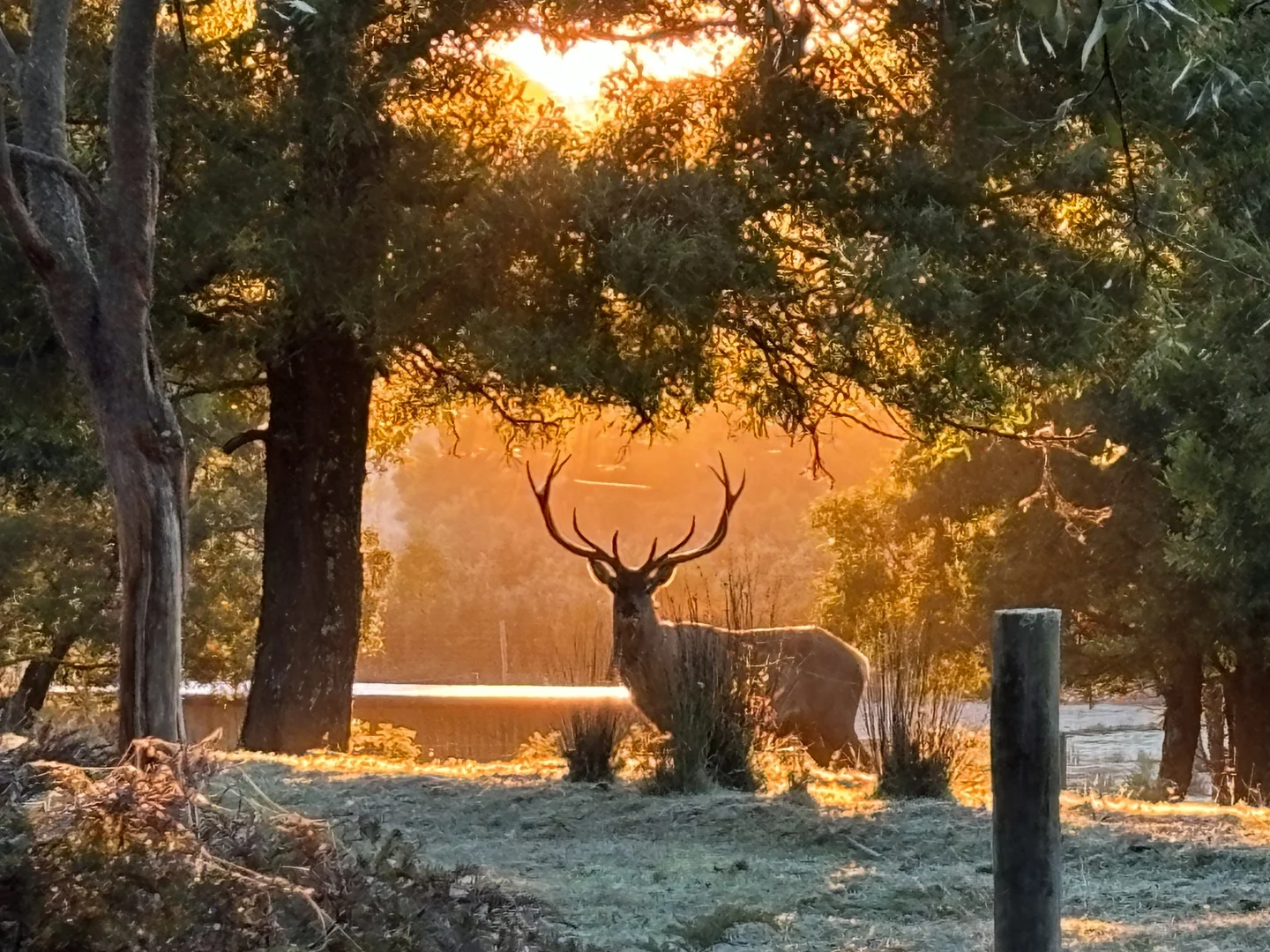 Additional image 30 of 51 Scarffs Road North, Buninyong VIC 3357