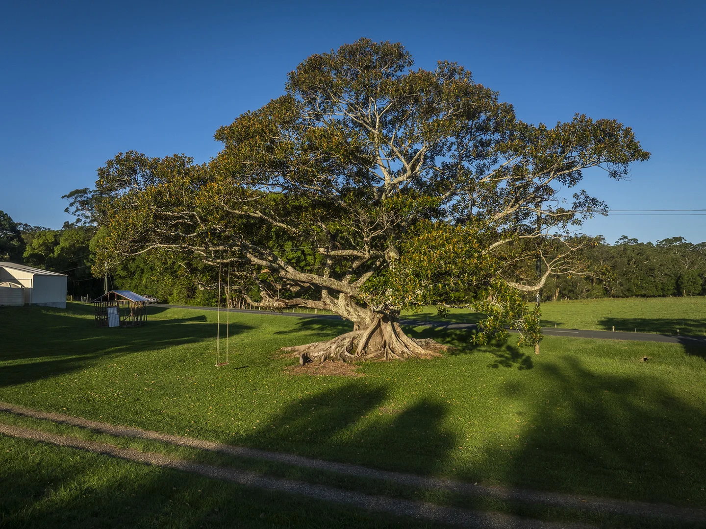 Additional image 11 of 33 River Street, Repton NSW 2454