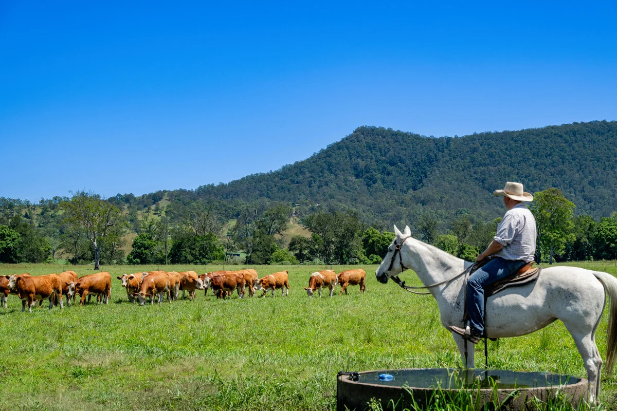 Additional image 2 of 800 Fawcetts Plain Road, Kyogle NSW 2474