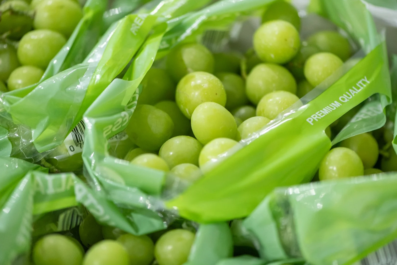 Additional image 16 of 1251 Stanitzki Road, Pike River SA 5340