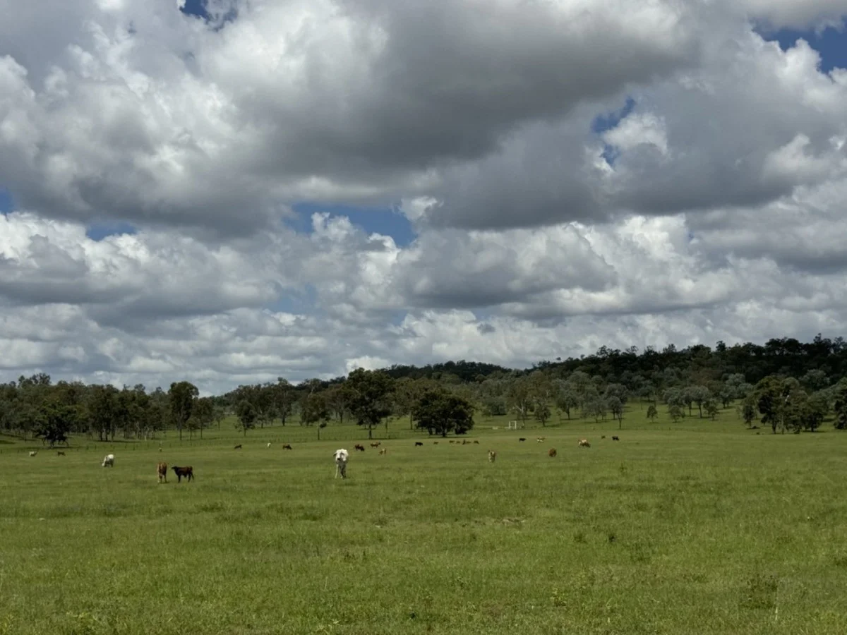 Additional image 44 of 2655 Clonmel Road, Monto QLD 4630