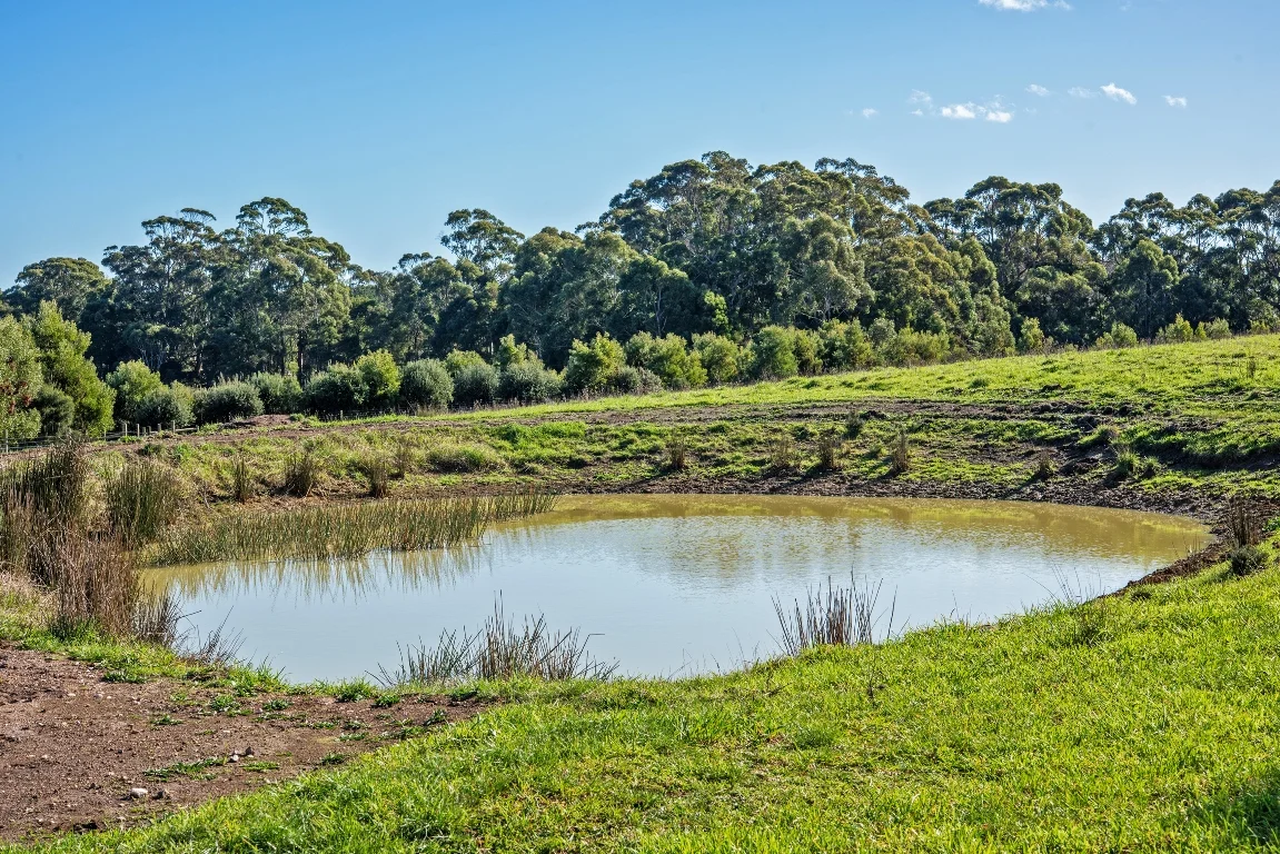 Additional image 10 of 19291 Bass Highway, Rocky Cape TAS 7321