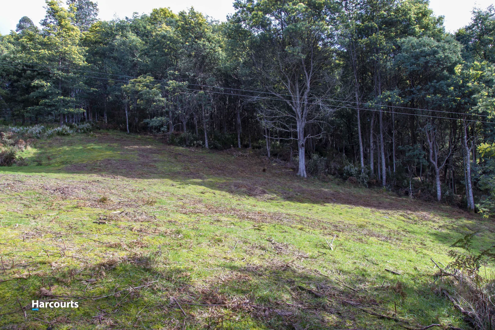 Additional image 7 of Lot 1 Eadies Lane, Franklin TAS 7113