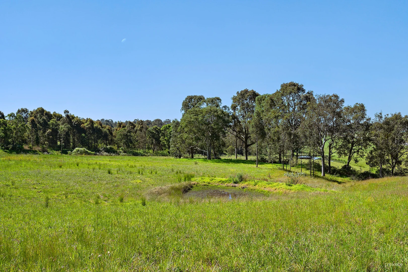 Additional image 10 of 140 Lenaghans Drive, Lenaghan NSW 2322